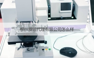 柳州貨運代理市場分析 優質企業盤點與商務代辦服務指南